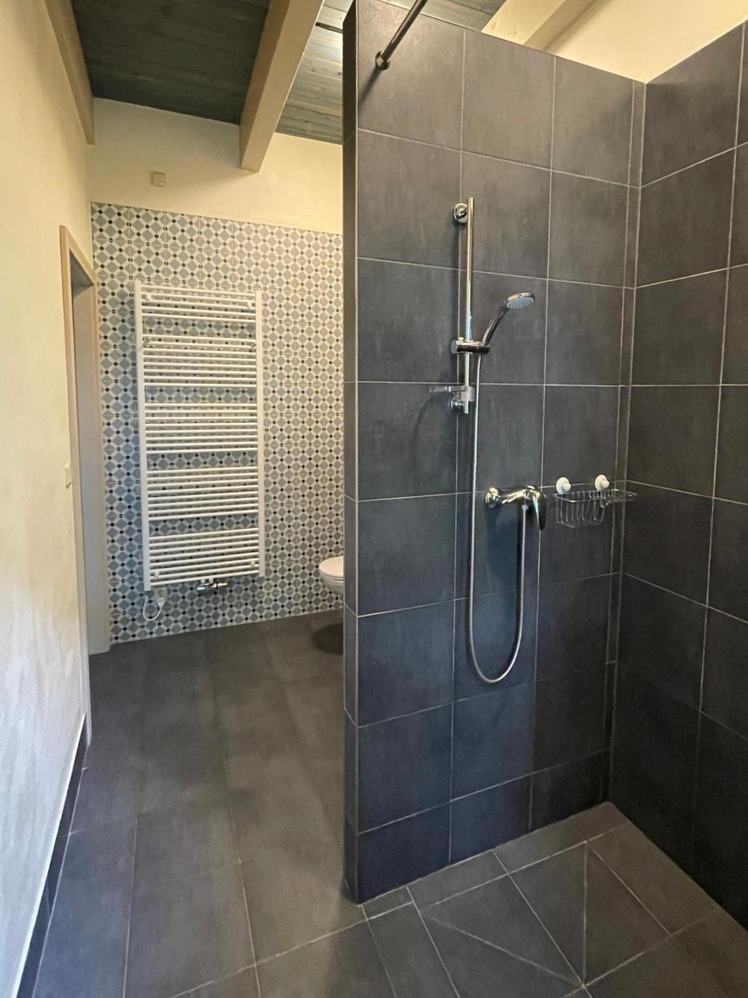 Apartmany Modrinovy Dum Horní Planá Værelse billede