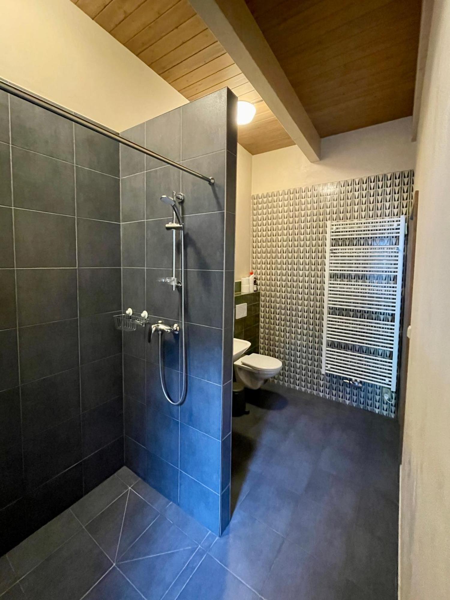 Apartmany Modrinovy Dum Horní Planá Værelse billede